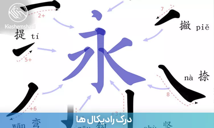 نقش رادیکال‌ها در شناخت ساختار کاراکترهای چینی و کمک به زبان‌آموزان برای درک معنا، تلفظ و به خاطر سپردن آسان‌تر آن‌ها
